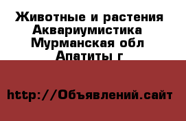 Животные и растения Аквариумистика. Мурманская обл.,Апатиты г.